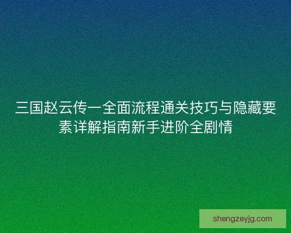 三国赵云传一全面流程通关技巧与隐藏要素详解指南新手进阶全剧情